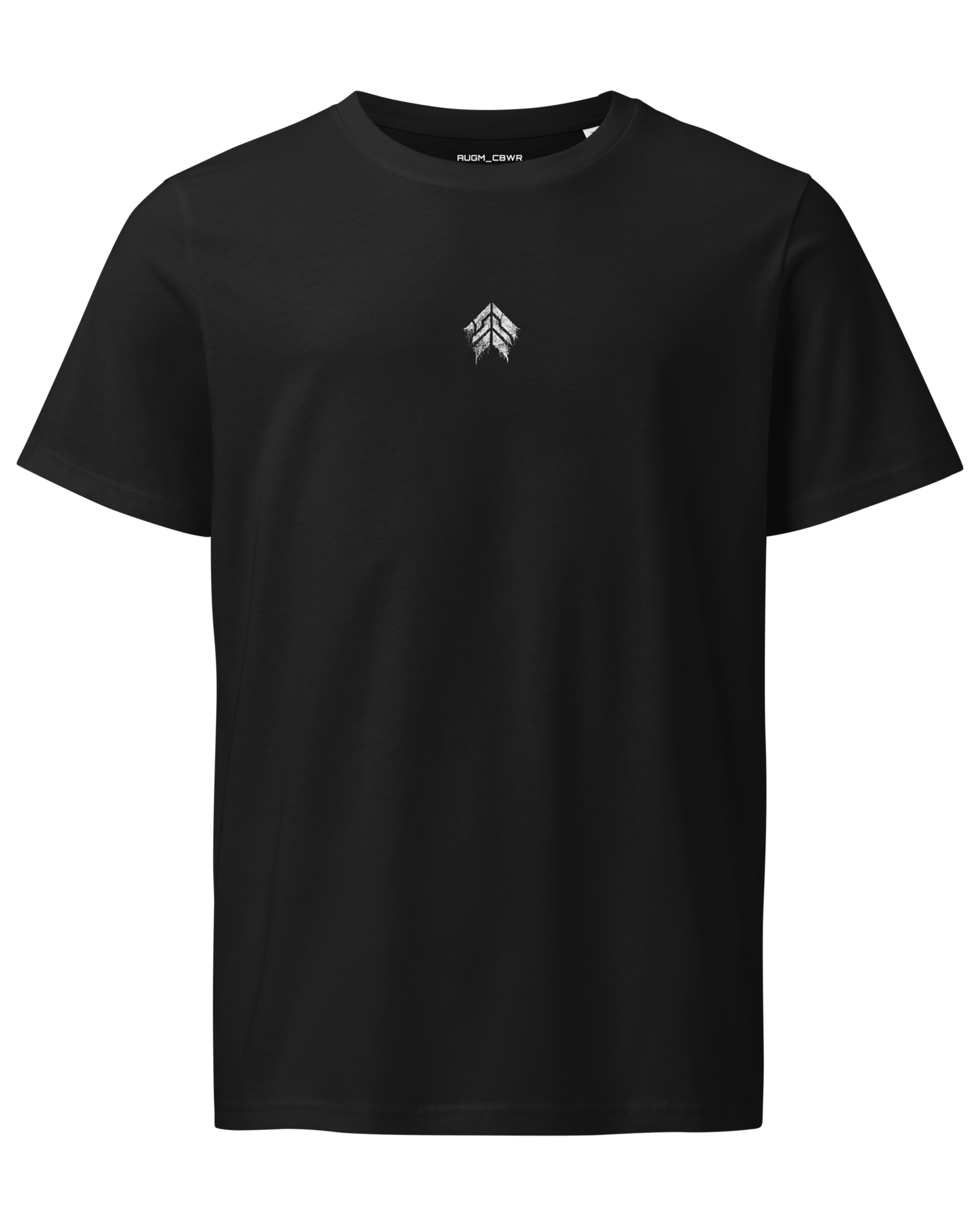 1002 // BASE_TEE // CORRUPTED